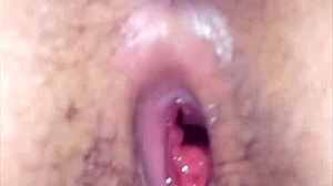 Latina amateur experiences painful anal assfucking