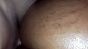 traficante gets a blowjob from ebony milf novinha