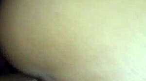 I Fuck My Prostitute And Upload More Whores