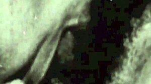 Dark Lantern's vintage sins of step grandmothers in erotic confessions