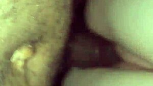 Double00 Blowjob And Cock Sucking