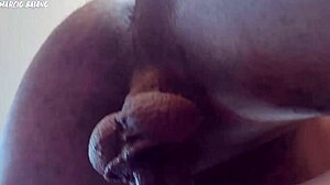 He fucks two beautiful asses hard, ripping clothes and licking