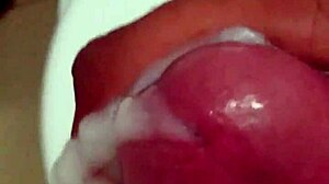 Ponheta sergipana she says while masturbating alone