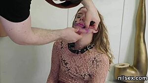 spicy kitten is brought in animal shelter for loving treatment