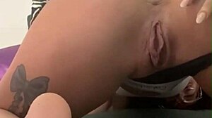 Super compilation of sucking and playing with huge dildos in wet pussy