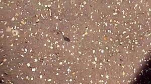 Oh, Neighbor Grandma's Sexy Feet!