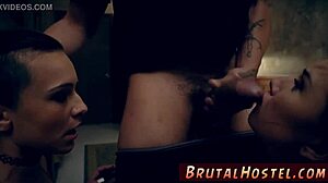 cute teen 18+ casting best mates aidra fox and kharlie stone are