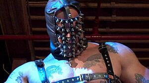 Tory Lane's Intense Anal Adventures Like Brooke Scott