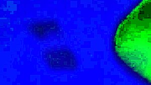 naughty slut wife wants it anal