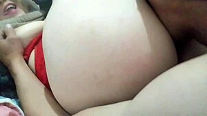 Stella Still's Intense Oral Encounter During Holiday Vacation