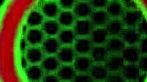 Sara Jay intensely fucks banana toy