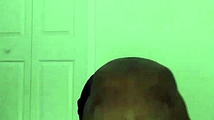 taking turns stretching like zodiac animals!