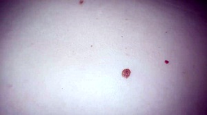 Intense Virginity Loss While Watching Favorite Movie With Tight Pussy