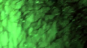 Big dick masturbate with intense strokes