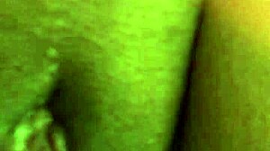 Holiday encounters with intimate licking.