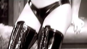 Wild Black Panther Demands A Good Banging And Gets It