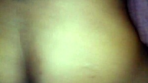 dazion and tapria are fucking hard.