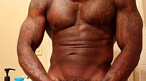 Hallelujah Johnson Worships Bbc And Asks To Take Home After Subscribe