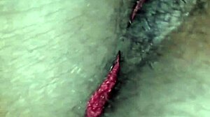 this video was recorded on january 2, 2018, at 4:53 in the morning, and it shows some content