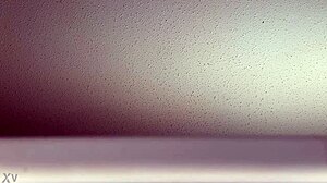 Sounds Of Fucking From My Window