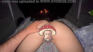 Seasonal compilation gift