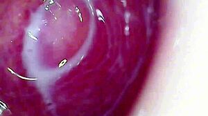 camera plunges deep into wet pussy capturing intense orgasm