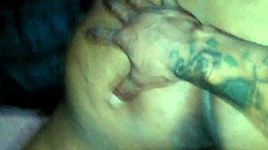 dazion and tapria are fucking hard.