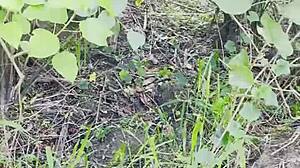 Epic king of the forest with the bardie part 1