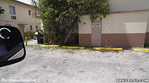 Ivys karma acts like a bitch during blowjob and cumshot