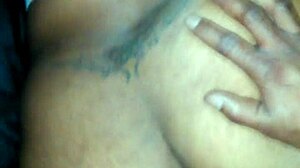 dazion and tapria are fucking hard.