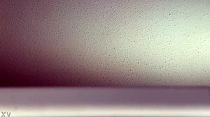 Sounds Of Fucking From My Window