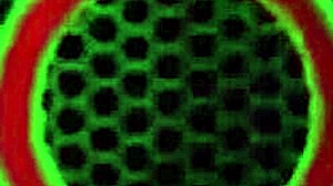 Big butts Marcy Diamong in sensual lesbian licking and fucking