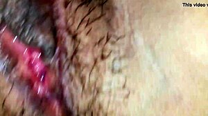 my wife's exposed pussy close-up