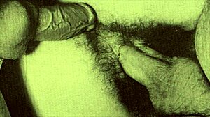 pornastalgia in the shadows of the swinging sixties