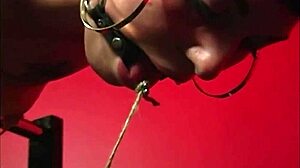 Kaera Cruz Bound in Bondage by Maxine X