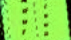 My new family plays this game