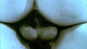 dark lantern entertainment presents vintage foursomes from my secret life