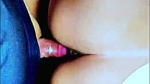 Compilation Of Cumshots In My Stepsisters Pussy