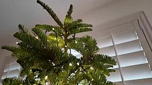 Ho ho ho, Lulu Chu rides big cock! 🎄