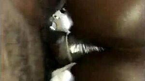 Deep anal experience for the brunette amateur.