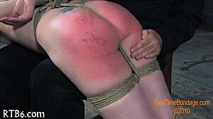 exploring sadomasochism fetish porn. intense scenes unfold.