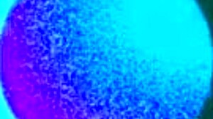 Bbc Student Fucks Horny Classmate In Ghana Dorm