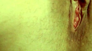 Compilation of Shaved Pussy Squirting Close-Up Webcam Scenes