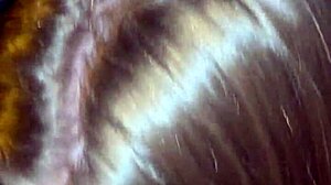 Blonde Petite 18+ Teen Sucks Hung Driving Instructor - Laney Grey