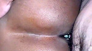 Esposa Dando Gostoso Com Plug, Big Ass And Monster Cock Toys.