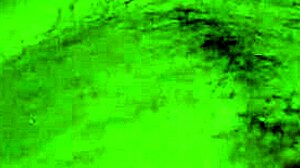 He confesses, 'My sister gives me an amazing blowjob every time'