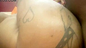 anita in doggy position for big black dick neighbor