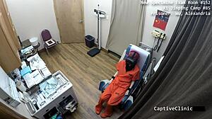 Siccos Part 3 Atrocities Continue Alexandria Wu