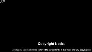 Quickfap 11m of Lisa Ann by Only3x Network