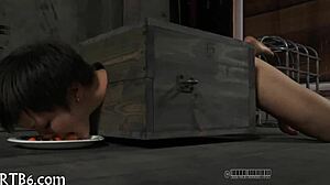 tossed up girl gets punished in the garage